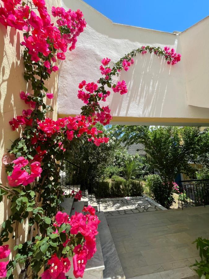 Sunflower Apartments & Studios Kassiopi Exterior photo